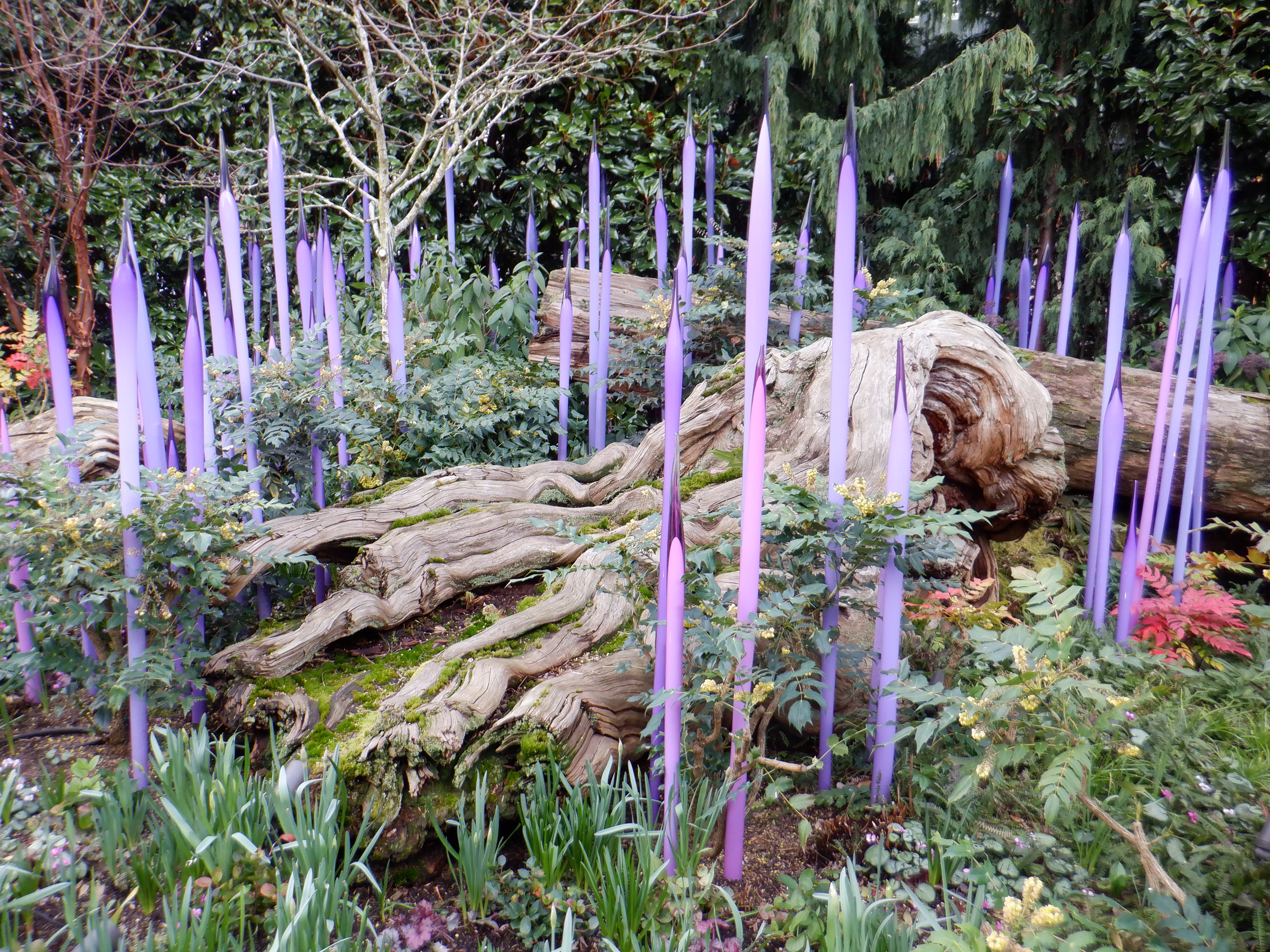 ./2020/03 - Seattle/DSCF1259.JPG